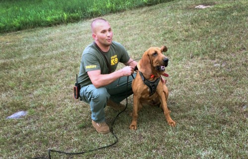 A "Jimmy" bloodhound