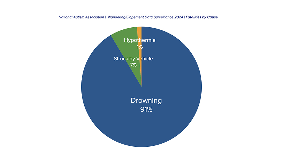 pie chart of how autistic children died in 2024 (91 percent drowning)