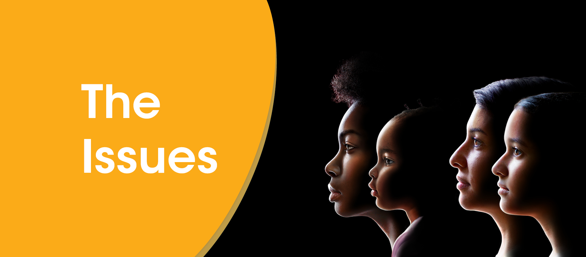 the issues landing page banner